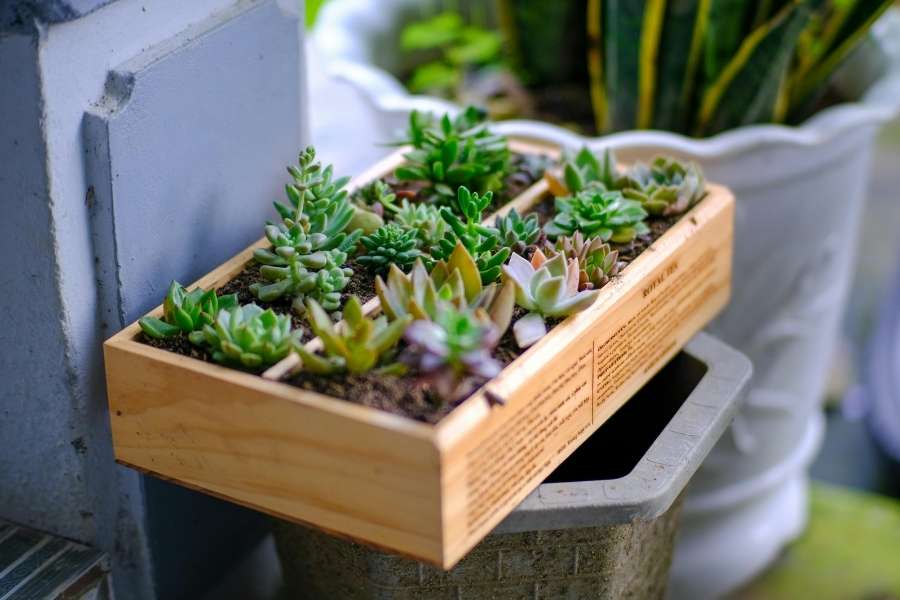 A small wooden box filled with a diverse arrangement of small succulents, showcasing a creative simple planter box design.